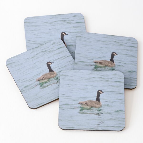 Item preview, A Canada Goose Swimming designed and sold by BackyardBirder.