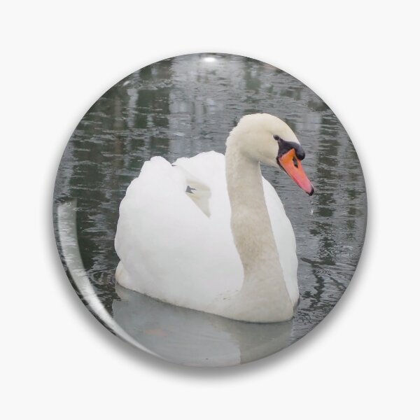 Item preview, A Mute Swan In The Water designed and sold by BackyardBirder.