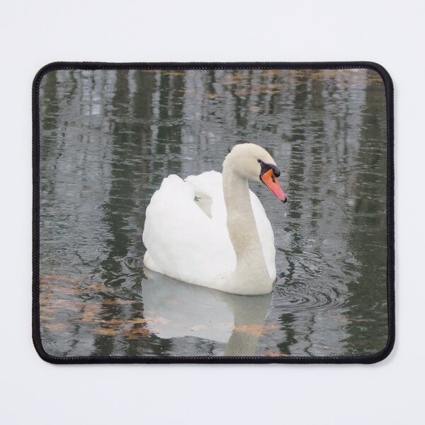 Item preview, A Mute Swan In The Water designed and sold by BackyardBirder.