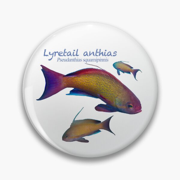 Item preview, Reef Fish Party #1 designed and sold by tank200bar.
