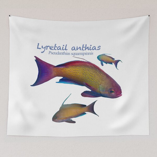Item preview, Reef Fish Party #1 designed and sold by tank200bar.