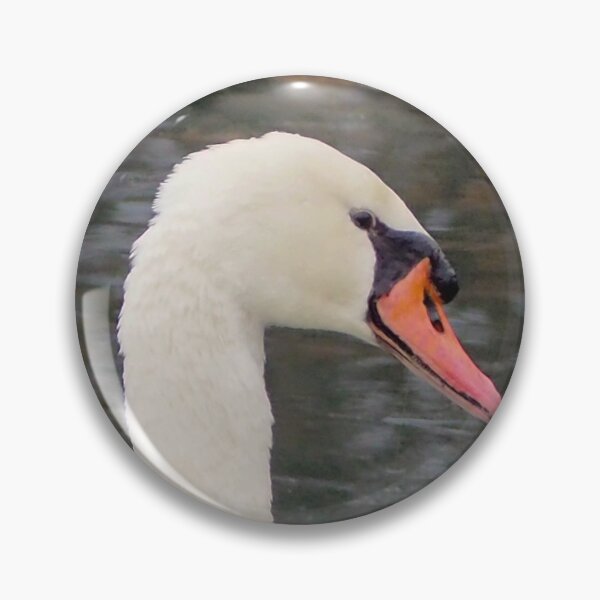 Item preview, A Mute Swan Turning Its Head and Staring designed and sold by BackyardBirder.