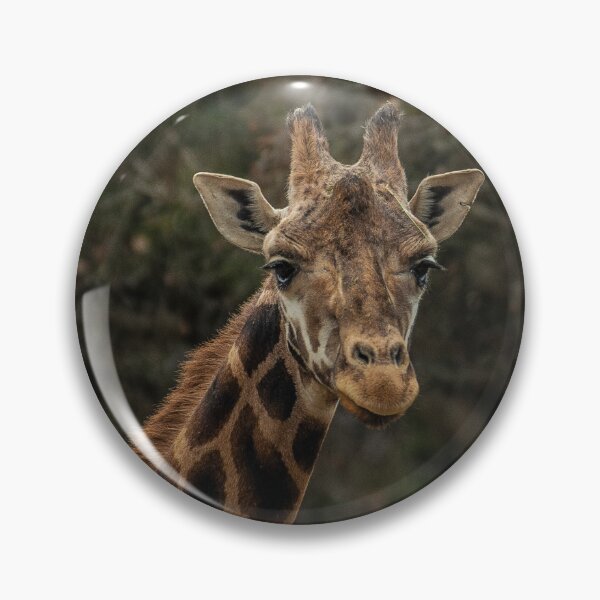 Item preview, African Awesome Giraffe Close-Up Art Photo designed and sold by DEC02.