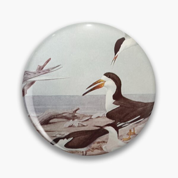 Item preview, Terns designed and sold by bloomingvine.