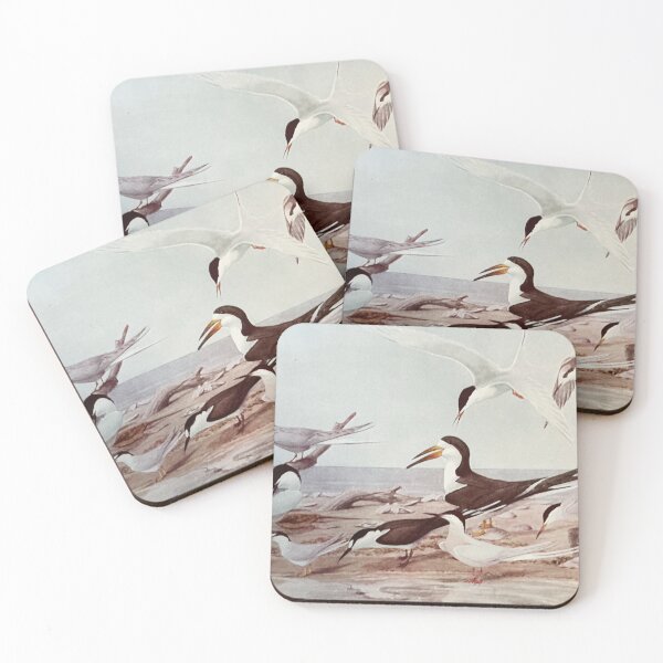 Item preview, Terns designed and sold by bloomingvine.