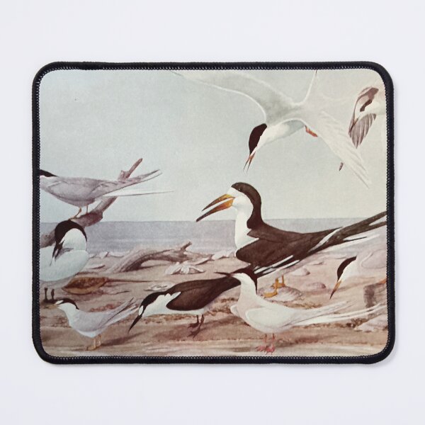 Item preview, Terns designed and sold by bloomingvine.