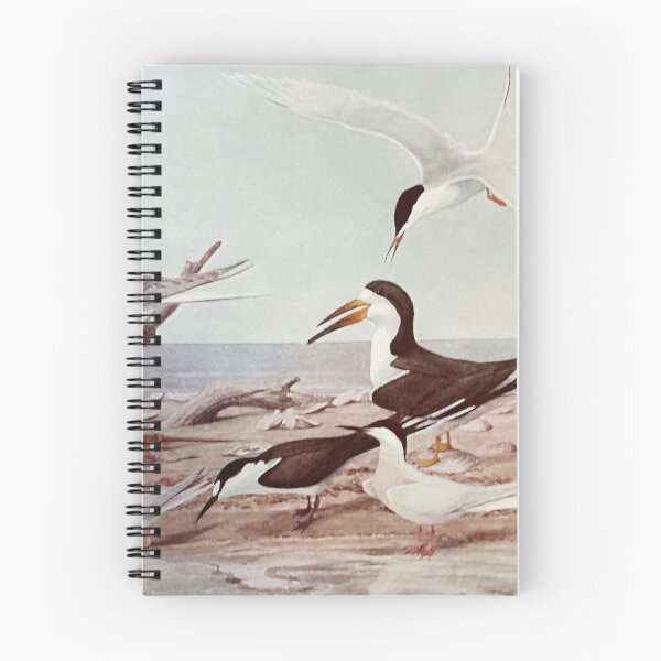 Item preview, Terns designed and sold by bloomingvine.