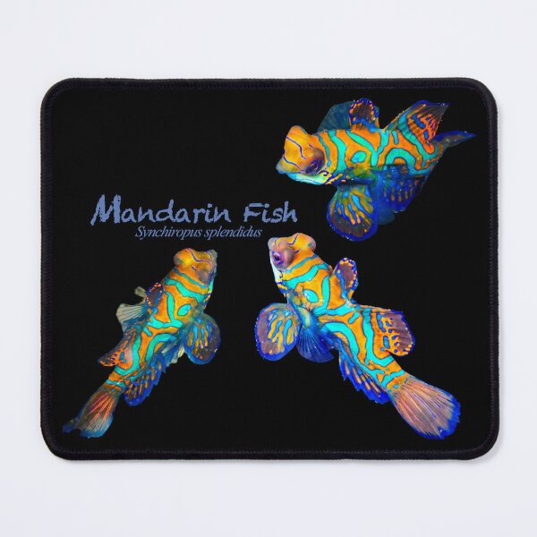 Item preview, Reef Fish Party #2-2 designed and sold by tank200bar.