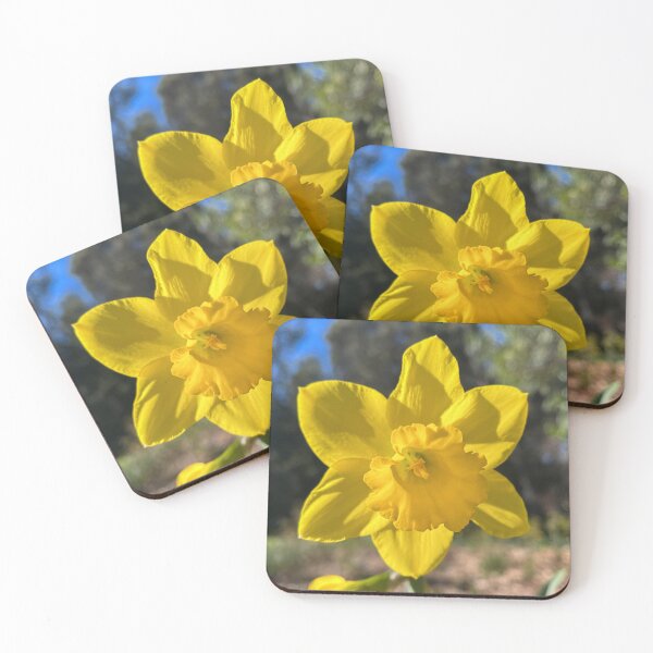 Item preview, Large Yellow Daffodil in Spring Sunshine Botanical Photography designed and sold by Be Captured by Brittany Emma.