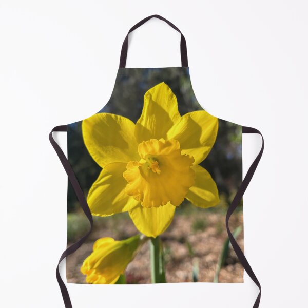 Item preview, Large Yellow Daffodil in Spring Sunshine Botanical Photography designed and sold by Be Captured by Brittany Emma.