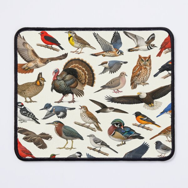 Item preview, Native Birds of Missouri Retro Style Identification Chart designed and sold by kakarikihill.