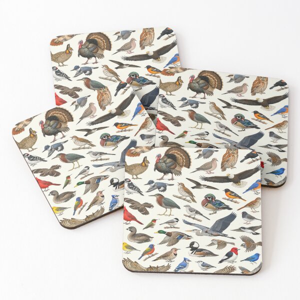 Item preview, Native Birds of Missouri Retro Style Identification Chart designed and sold by kakarikihill.