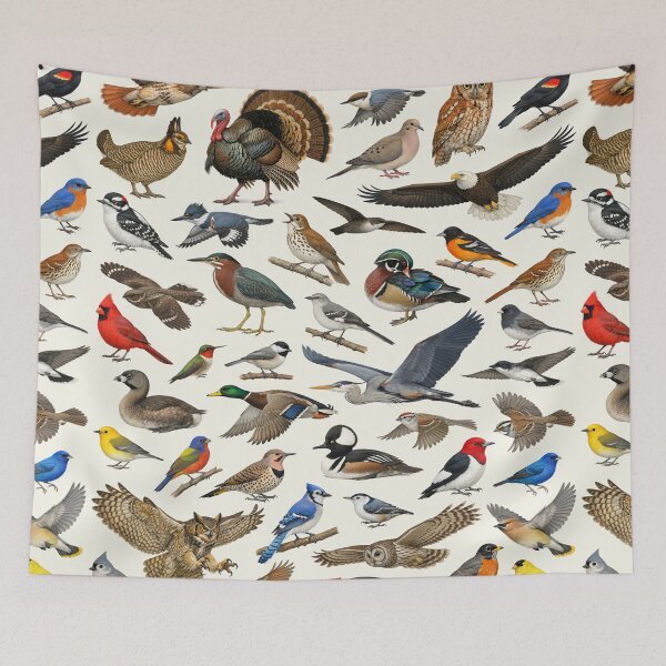 Item preview, Native Birds of Missouri Retro Style Identification Chart designed and sold by kakarikihill.