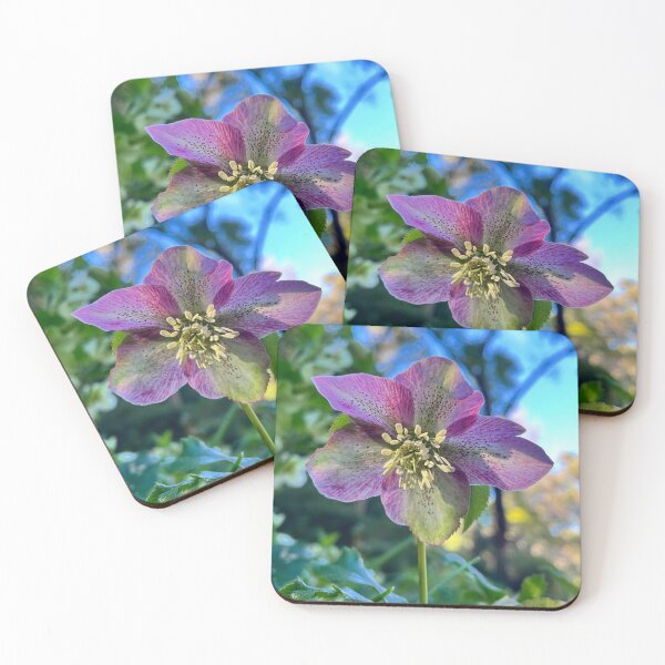 Item preview, Pink and Green Hellebore Botanical Flower Photography designed and sold by Be Captured by Brittany Emma.