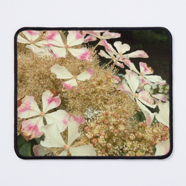 Item preview, Fairy Trail designed and sold by Betsy Phillips.