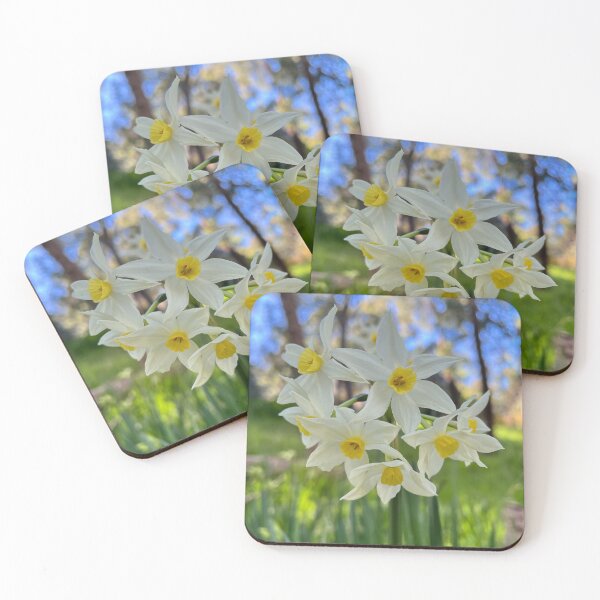 Item preview, White Narcissus Italicus Spring Botanical Photography designed and sold by Be Captured by Brittany Emma.