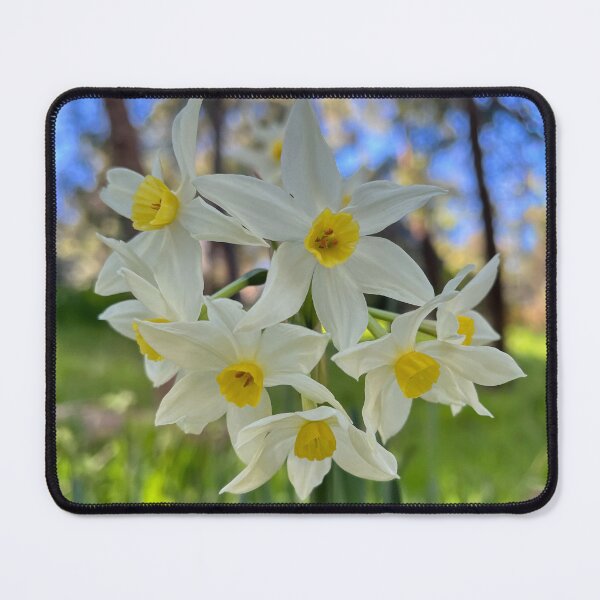 Item preview, White Narcissus Italicus Spring Botanical Photography designed and sold by Be Captured by Brittany Emma.