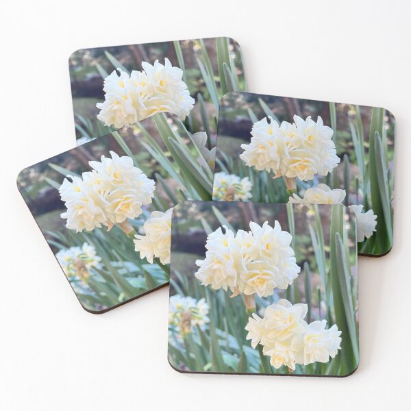 Item preview, Double White Jonquil Erlicheer Botanical Photography designed and sold by Be Captured by Brittany Emma.