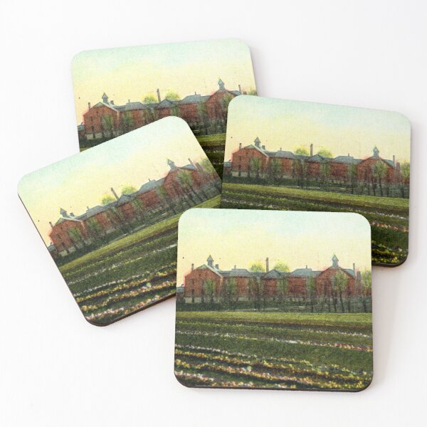 Item preview, Harrisburg State Hospital (Harrisburg, Pennsylvania) Vintage Postcard – State Lunatic Hospital Buildings designed and sold by GhostlyWorld.