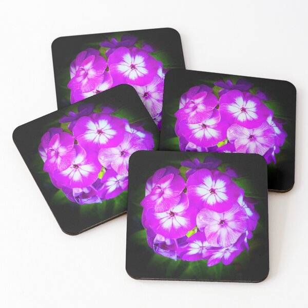 Item preview, Magenta Stars - Phlox paniculata designed and sold by TheScarletLens.