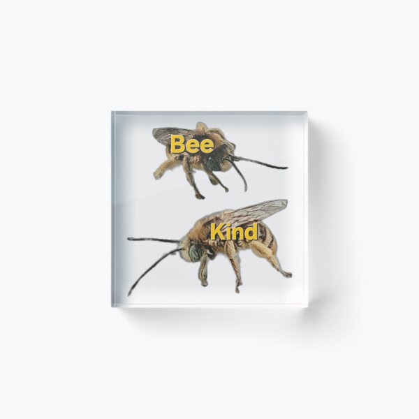 Item preview, bee kind designed and sold by gracehopelove.