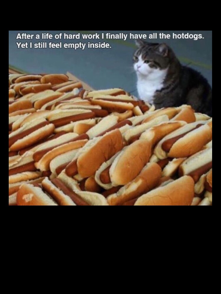 Are hot dogs bad for cats sale