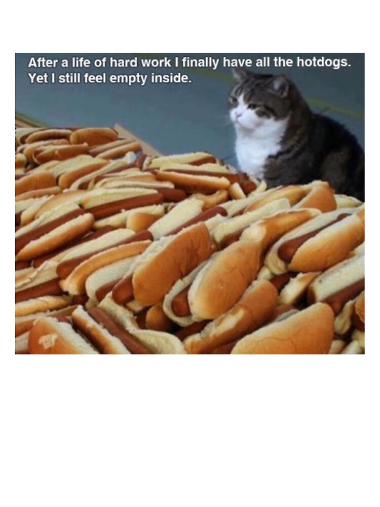 Hot Dog Cat Kids T Shirt By Papaknox Redbubble - hot dog meme in a bag roblox meme on meme