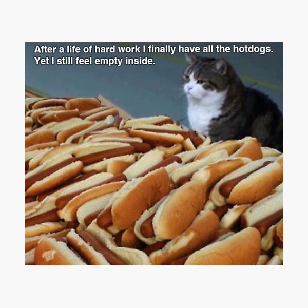 I Has A Hotdog - hat - Funny Dog Pictures, Dog Memes