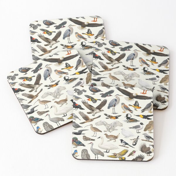 Item preview, Native Birds of Montana Retro Style Identification Chart designed and sold by kakarikihill.