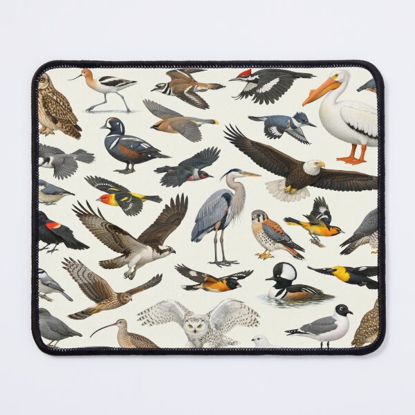 Item preview, Native Birds of Montana Retro Style Identification Chart designed and sold by kakarikihill.