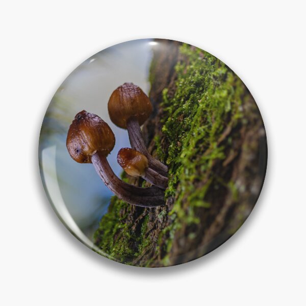 Item preview, Toadstools in the Forest designed and sold by Twisted Light Images.
