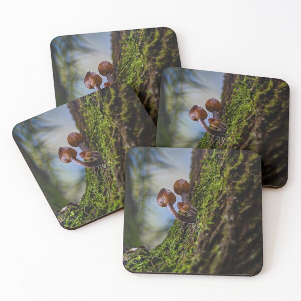 Item preview, Toadstools in the Forest designed and sold by Twisted Light Images.