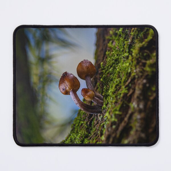 Item preview, Toadstools in the Forest designed and sold by Twisted Light Images.
