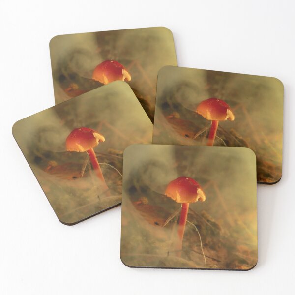 Item preview, Ember Toadstool in the Undergrowth designed and sold by Twisted Light Images.
