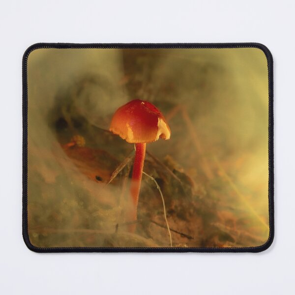 Item preview, Ember Toadstool in the Undergrowth designed and sold by Twisted Light Images.