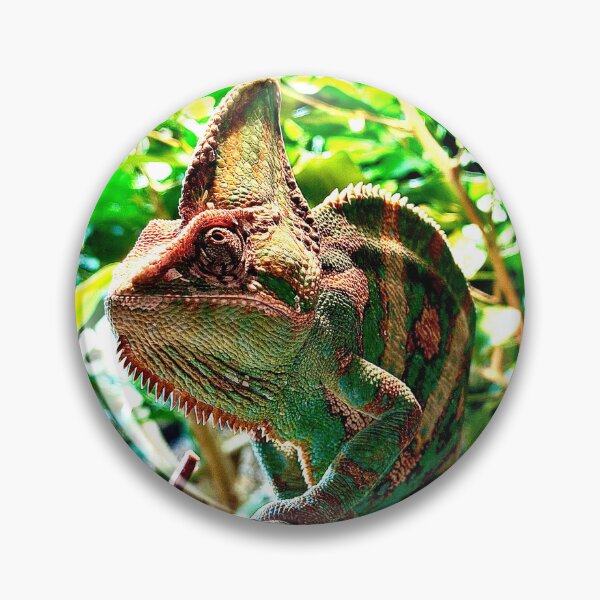 Item preview, Iguana designed and sold by Jeffingfun.