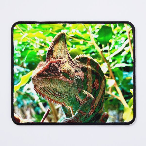 Item preview, Iguana designed and sold by Jeffingfun.