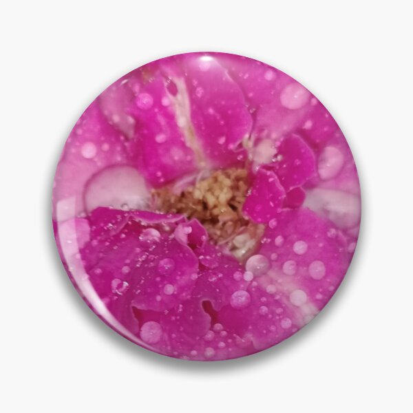 Item preview, Magenta Rose Macro Photography with Dew Drops | Karnataka Garden Floral Print designed and sold by Ezrabilquis7.