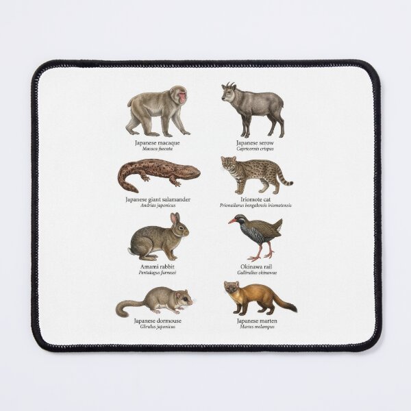 Item preview, Animals Found Only In Japan designed and sold by ArunDandiboina.