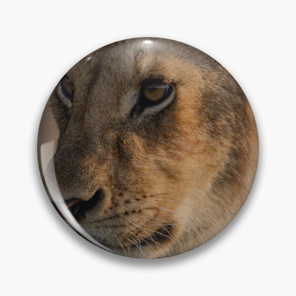 Item preview, Lion Cub Portrait Masai Mara Kenya designed and sold by Andrew Doggett.