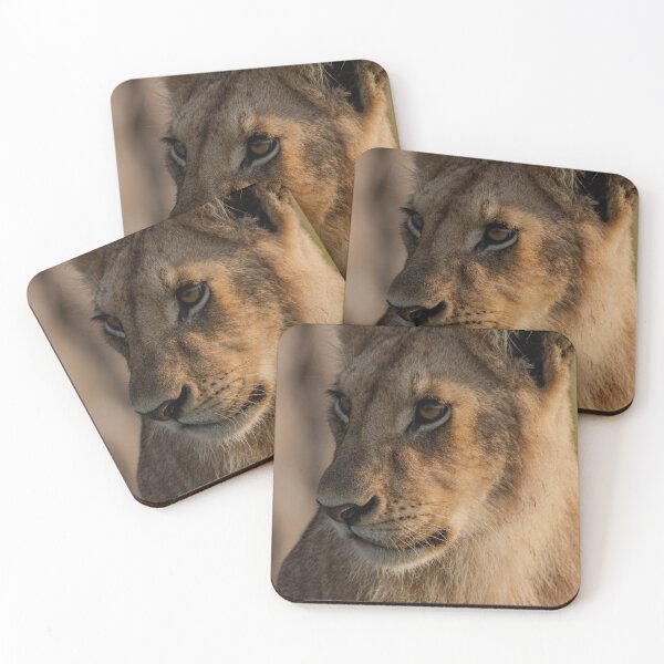 Item preview, Lion Cub Portrait Masai Mara Kenya designed and sold by Andrew Doggett.