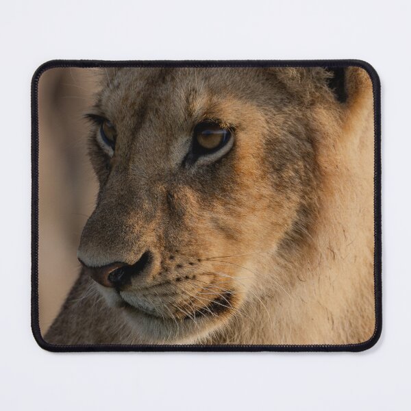 Item preview, Lion Cub Portrait Masai Mara Kenya designed and sold by Andrew Doggett.