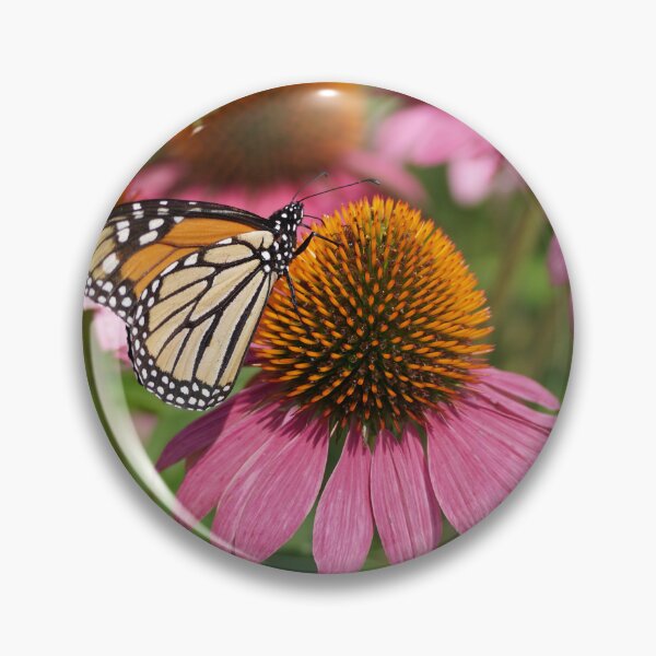 Item preview, monarch on coneflower designed and sold by distracted.