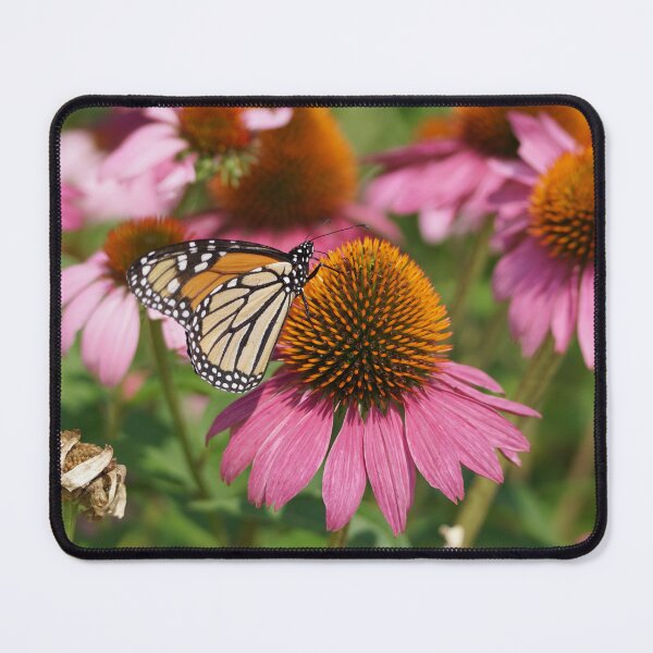 Item preview, monarch on coneflower designed and sold by distracted.