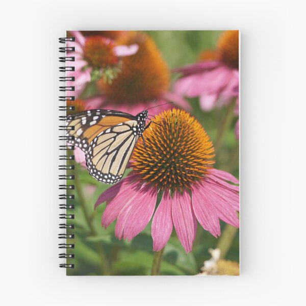 Item preview, monarch on coneflower designed and sold by distracted.
