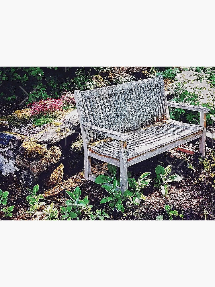 Garden Bench in Sunlight by BethsdaleArt