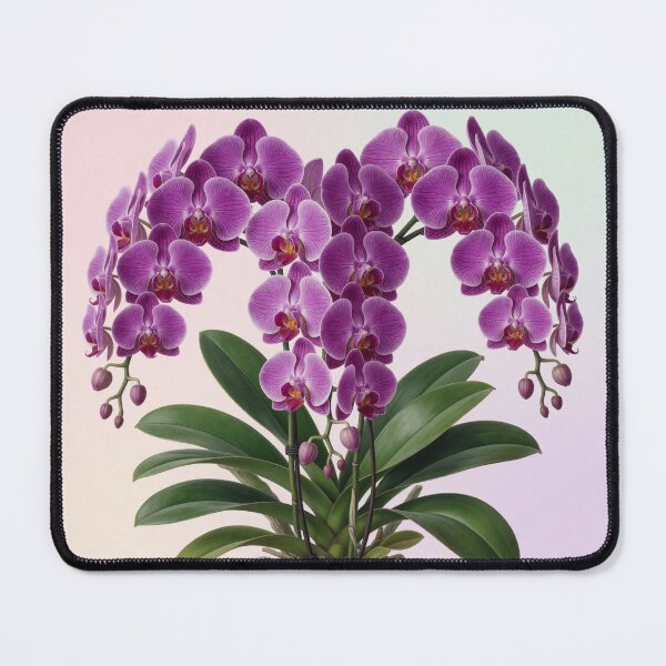 Item preview, Deep Pruple Orchid Plant designed and sold by CooksCreators.
