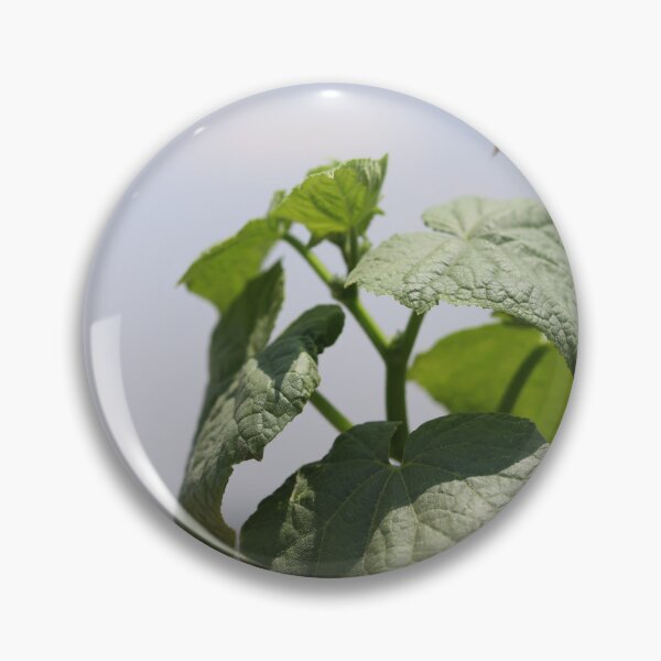 Item preview, Wasp Hovering Over Cucumber leaves designed and sold by 85 LEENS.