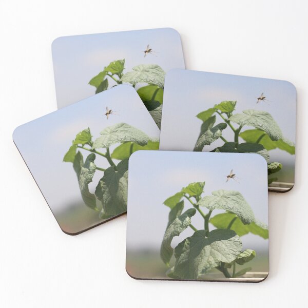 Item preview, Wasp Hovering Over Cucumber leaves designed and sold by 85 LEENS.