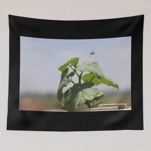 Item preview, Wasp Hovering Over Cucumber leaves designed and sold by 85 LEENS.